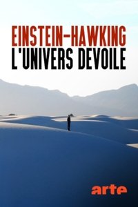 Einstein-Hawking, l’Univers dévoilé (2020)