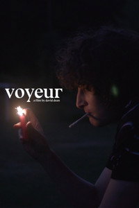 Voyeur (2024) poster