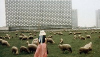 «Любовь, прекрасная как любовь (1972)» — обои к фильму #1