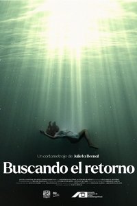 Buscando el retorno