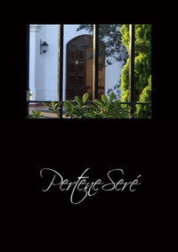 PerteneSeré (2008) subtitle poster