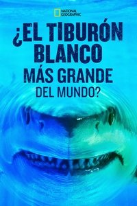Poster de World's Biggest Great White?