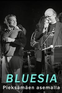 Bluesia Pieksämäen asemalla (2013)