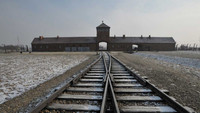 «Geboren in Auschwitz (2021)» — обои к фильму #1