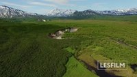 Kamchatka Bears. Life Begins