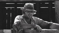 «Bulls (1973)» — обои к фильму #1