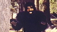 «Красавицы и чудовище (1974)» — обои к фильму #1