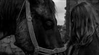 «Туринская лошадь (2011)» — обои к фильму #8