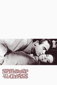 Постер фильма «Великолепие в траве (1961)» — (23 из 32)