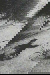 movie-images