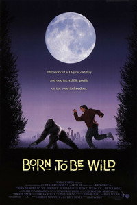 Постер фильма «Рожденная свободной (1995)» — (7 из 11)
