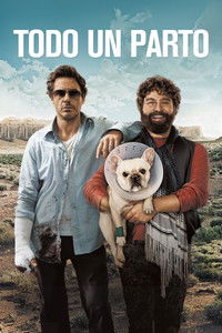 Poster de Todo un parto