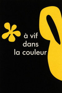 Henri Matisse « A vif dans la couleur » (1995) poster