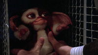 Gremlins 2 : La Nouvelle Génération