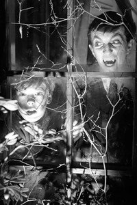 Постер сериала «Мрачные тени (1966-1971)» — (1 из 12)