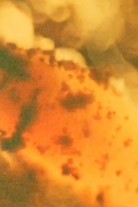 movie-images