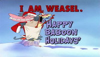 Happy Baboon Holidays
