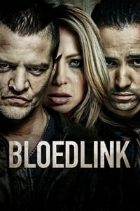 Poster de Bloedlink