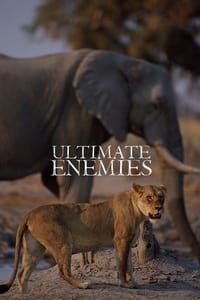 Ultimate Enemies: Revealed (2022)