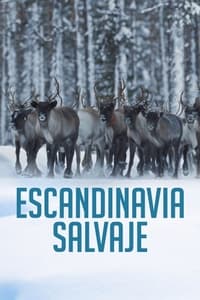 Poster de Wild Scandinavia