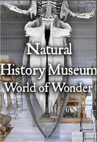 Natural History Museum: World of Wonder - Season 1 Episode Guide