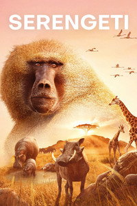 Постер сериала «BBC: Серенгети (2019)» — (4 из 18)