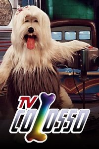 copertina serie tv TV+Colosso 1993