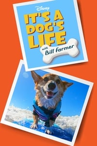 tv show poster It%27s+a+Dog%27s+Life+with+Bill+Farmer 2020