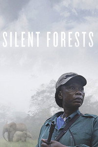 Постер фильма «Silent Forests (2019)» — (2 из 13)