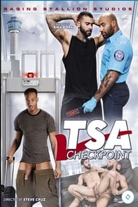 TSA Checkpoint