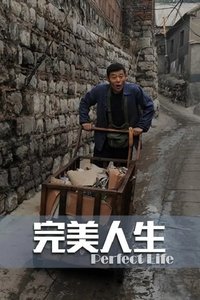 Imagem do Filme 完美人生