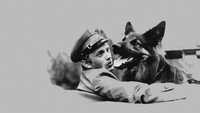 «Приключения пса Цивиля (1968-1970)» — обои к сериалу #3