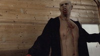 «Wine Creek (2021)» — обои к фильму #1