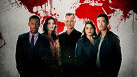 «Мыслить как преступник: За границей (2016-2017)» — обои к сериалу #1