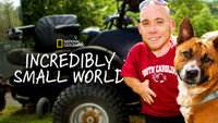 «Incredibly Small World (2014)» — обои к сериалу #8