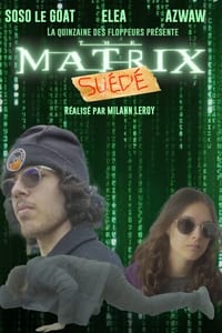 The Matrix : Suédé pelicula completa