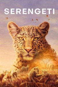 Постер сериала «BBC: Серенгети (2019)» — (5 из 18)