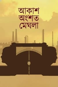 আকাশ অংশত মেঘলা (2022)