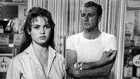 «Уличный свет (1955)» — обои к фильму #1