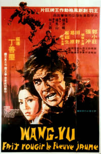 大盜 (1973)