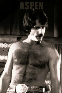 Постер сериала «Аспен (1977)» — (4 из 17)