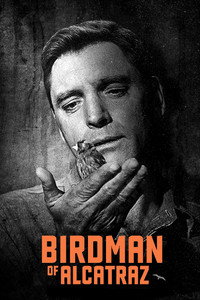 Постер фильма «Любитель птиц из Алькатраса (1962)» — (8 из 24)
