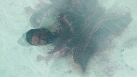 Обои к сериалу «Северные воды (2021)» — (17 из 45)