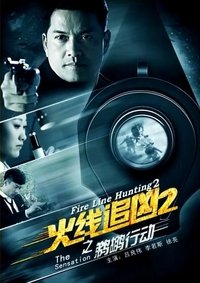 火线追凶2之鹈鹕行动 (2013)