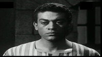 Обои к фильму «Вор и собаки (1962)» — (11 из 19)