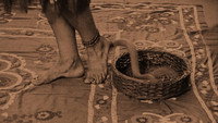 Обои к фильму «Индийская гробница 2 (1921)» — (13 из 13)