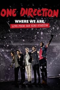 One Direction: Where We Are – The Concert Film - 2014
