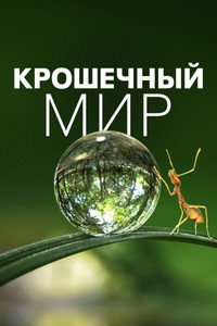 Постер сериала «Крошечный мир (2020)» — (10 из 25)