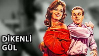 «Dikenli gül (1961)» — обои к фильму #1