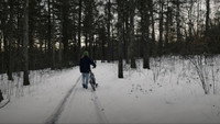 «The Wych Elm (2022)» — обои к фильму #1